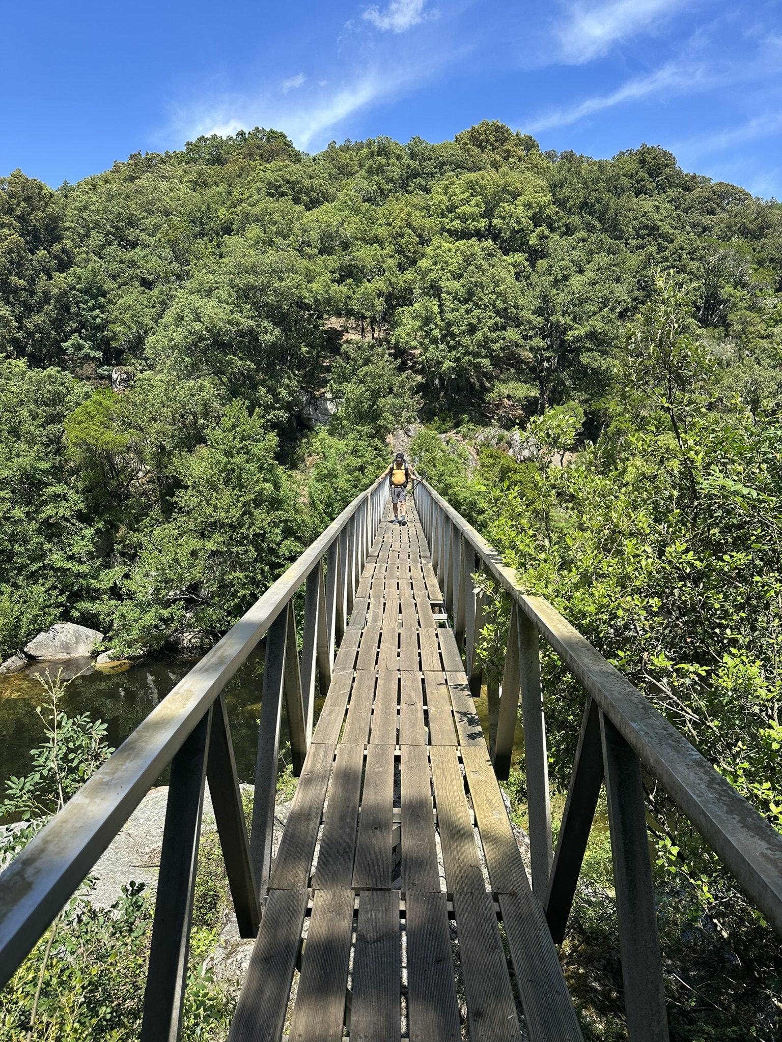 Passerelle en bois traversant une gorge en Corse