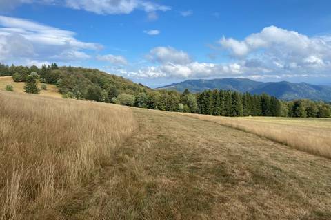 Randonner ou voyager léger