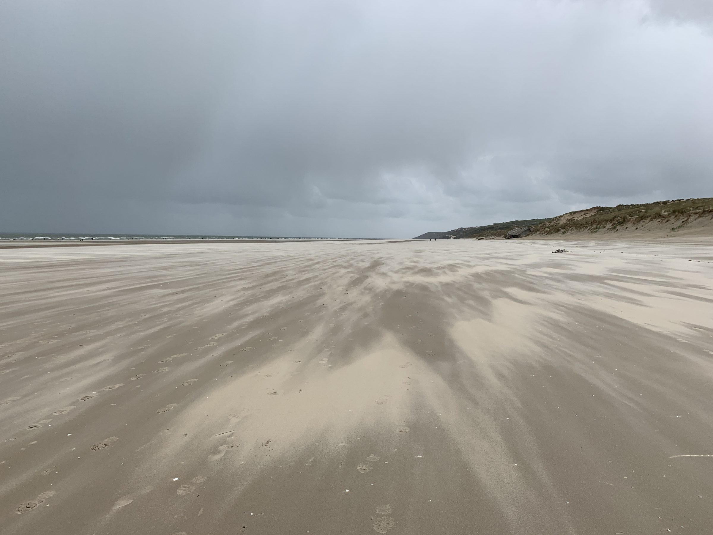 Plage battue par le vent avec sable et ciel de tempête