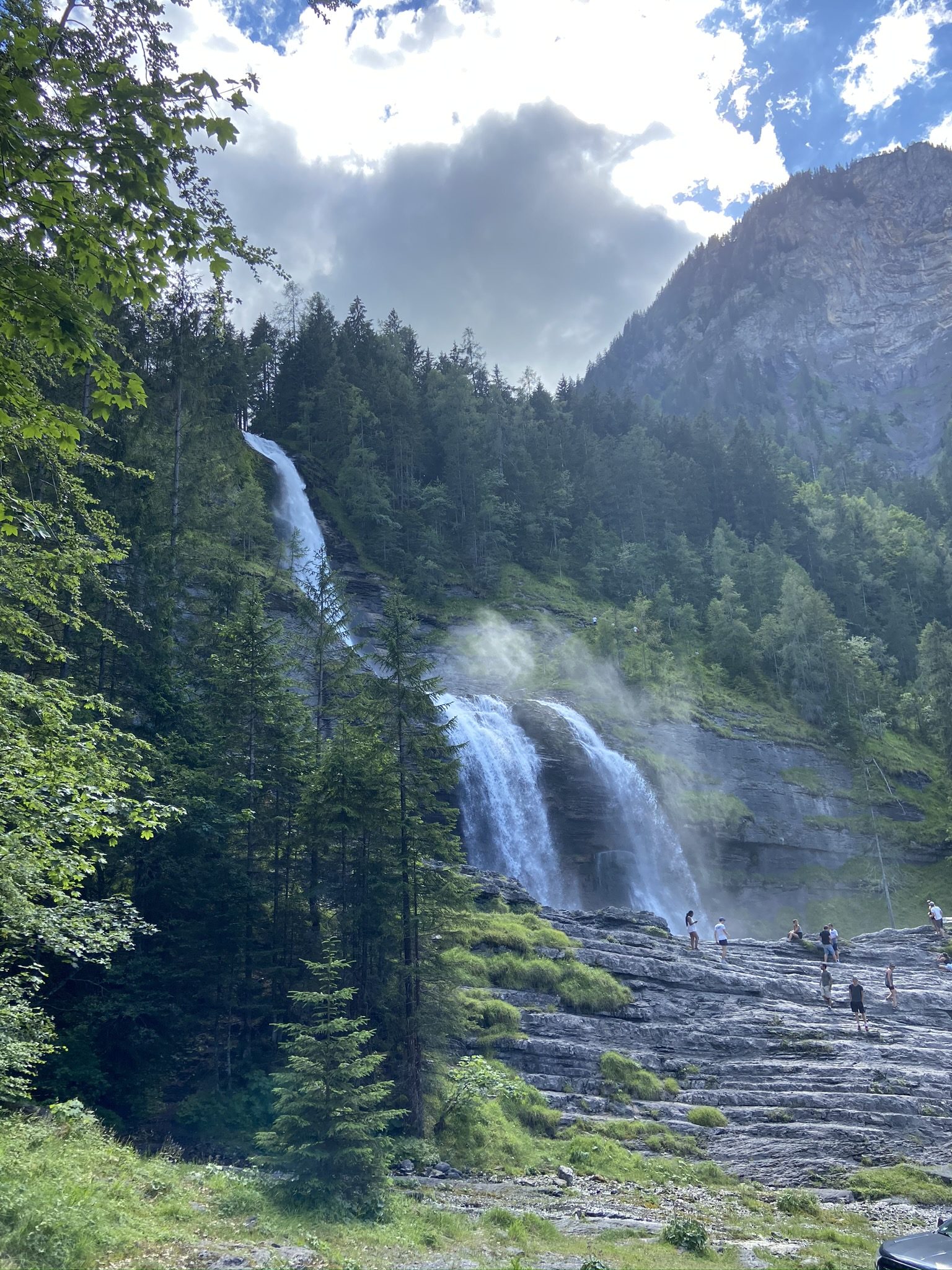 Cascade dans une forêt de montagne