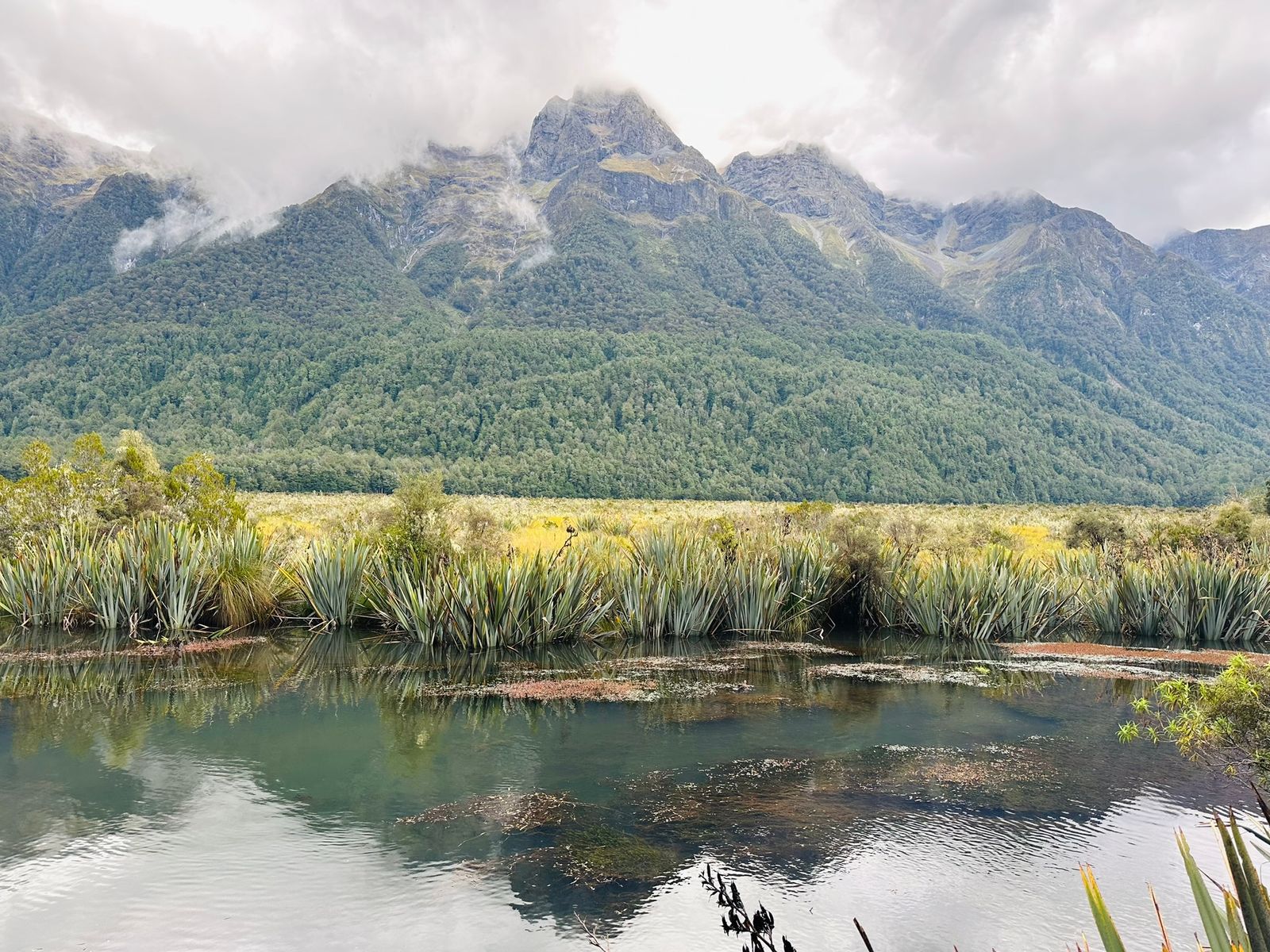 Voyager en Nouvelle Zélande avec des enfants : envisageable ?