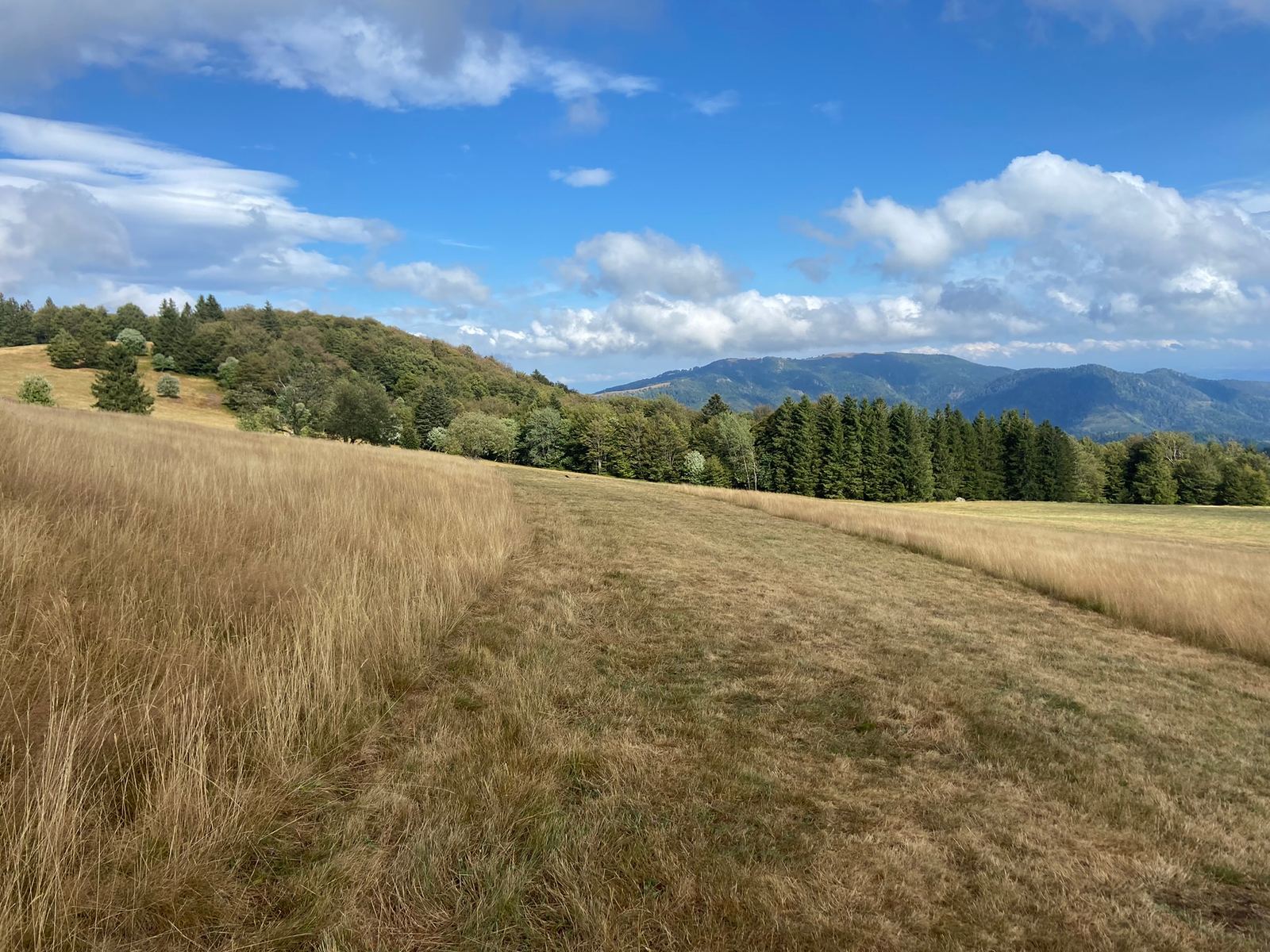 Sentier de crête dans les Vosges