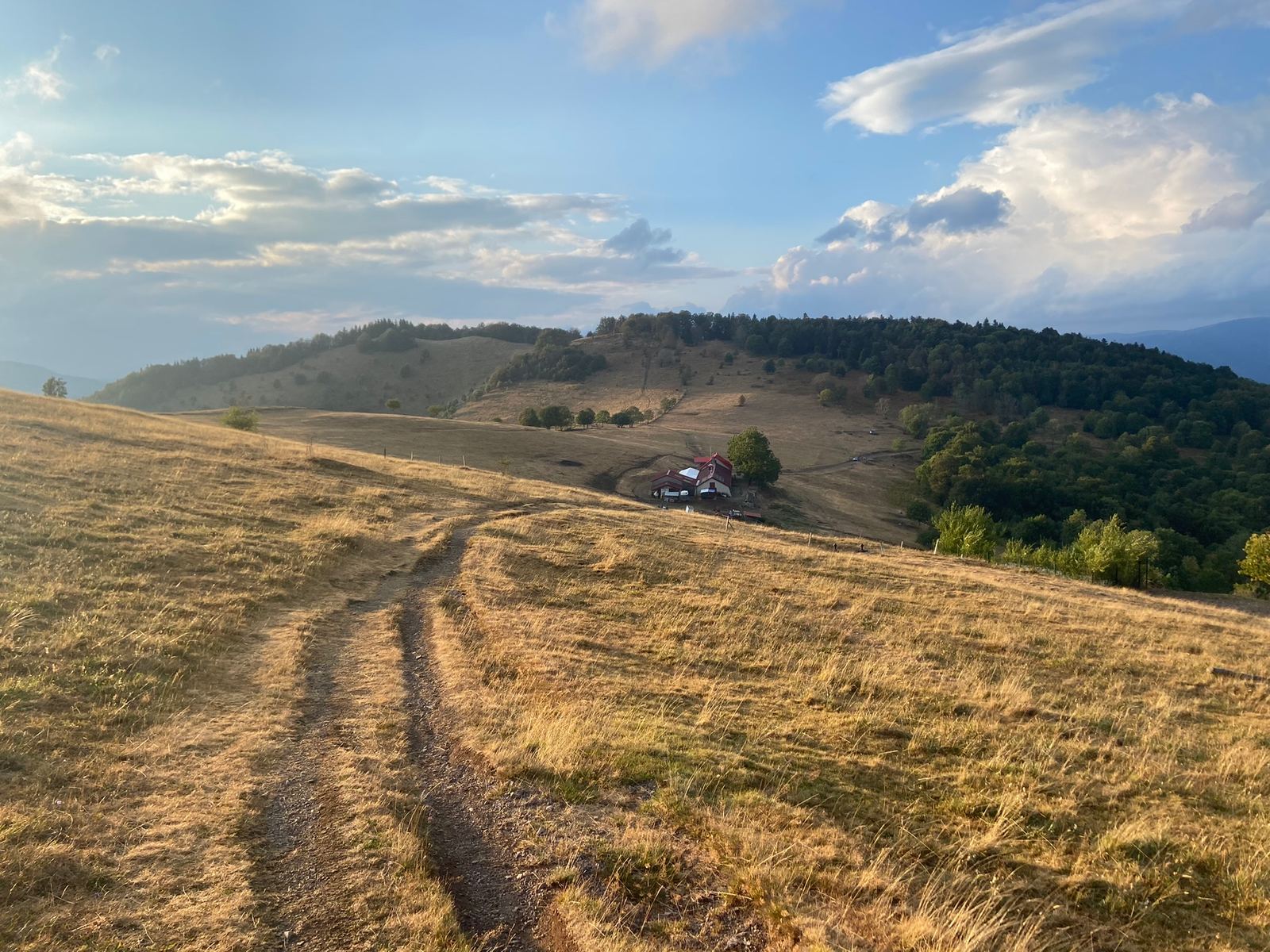 Sentier de crête dans les Vosges