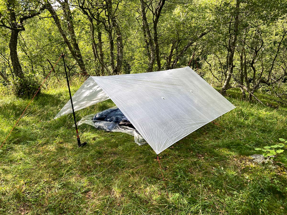 Tarp Bonfus Solus DCF