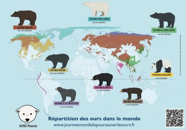 carte-ours carte des ours dans le monde