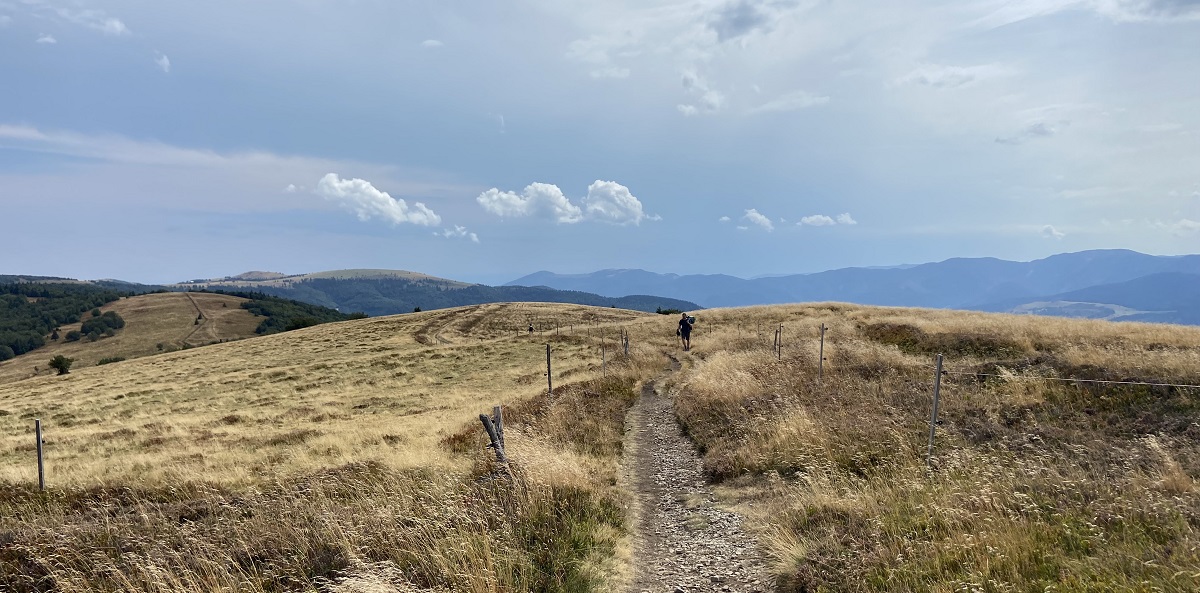 chemin en pleine montagne