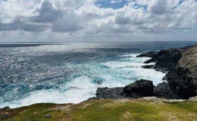 bridgewater-blowholes