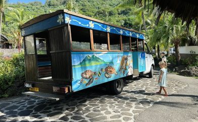 bus-bora