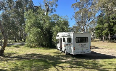 camping-car-foret