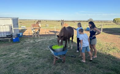 campsite-bush-animaux