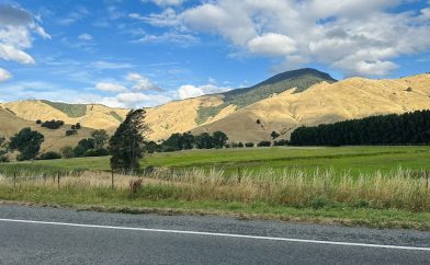 collines-nz