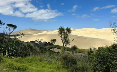 dune-de-sable-1