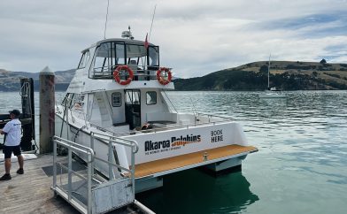 excursion-dauphin-akaroa