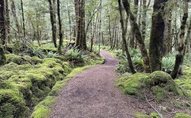 kepler-track-chemin