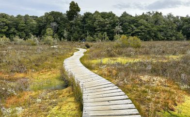 kepler-track-lac