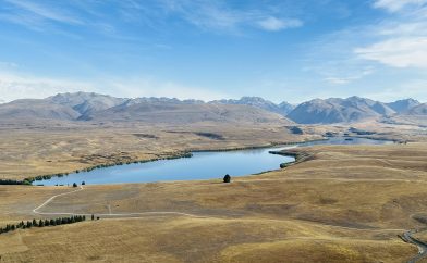 lac-alexandrina