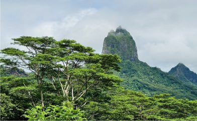 montagne magique à Moorea