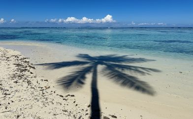 reflet-eau-cocotier