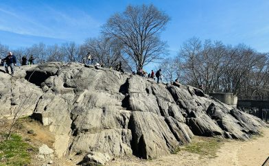 rocher-central-park