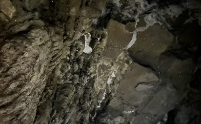 vers-luisants-grotte